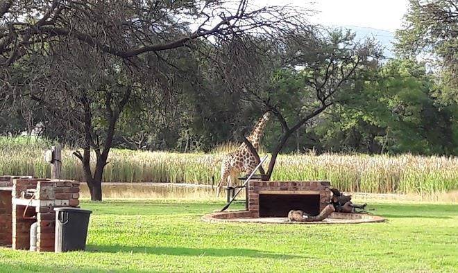 Vilagama private game lodge