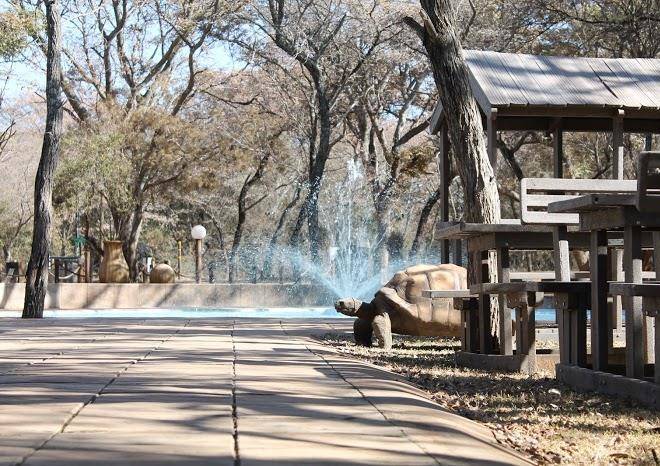 Waterberg resort