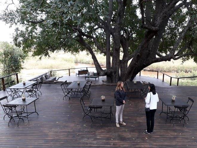 Lion sands ivory lodge