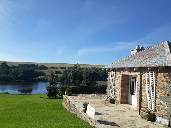 Lake heron