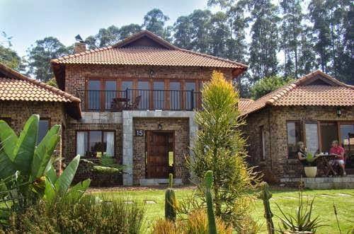 15 On Pinehurst Image