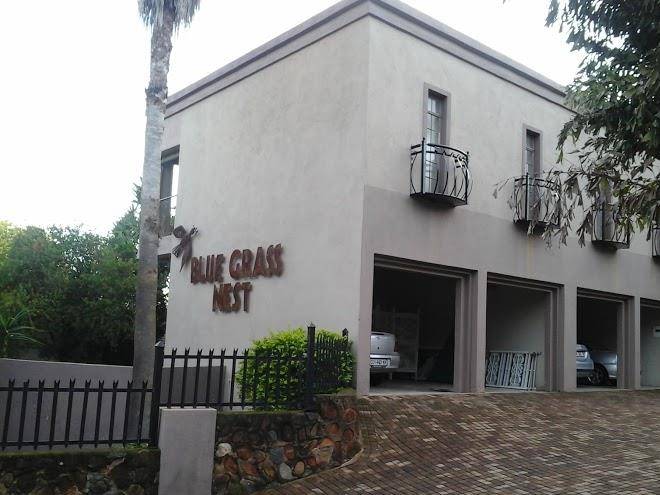 Blue Grass Nest Image