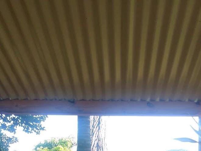 Crowned eagle lodge