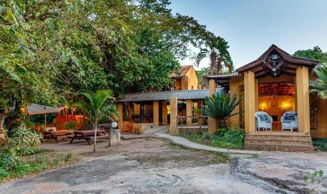 Gecko lodge