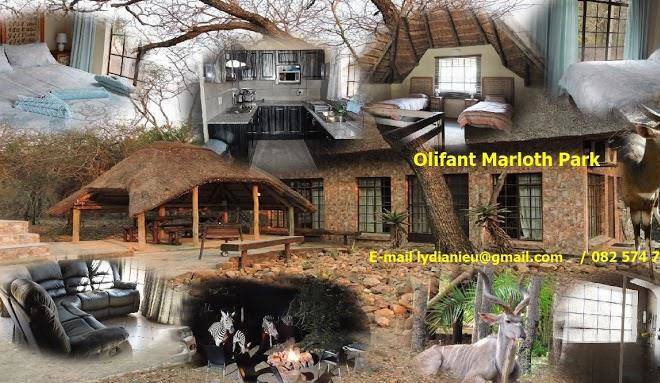 Bush & beach vacations olifant