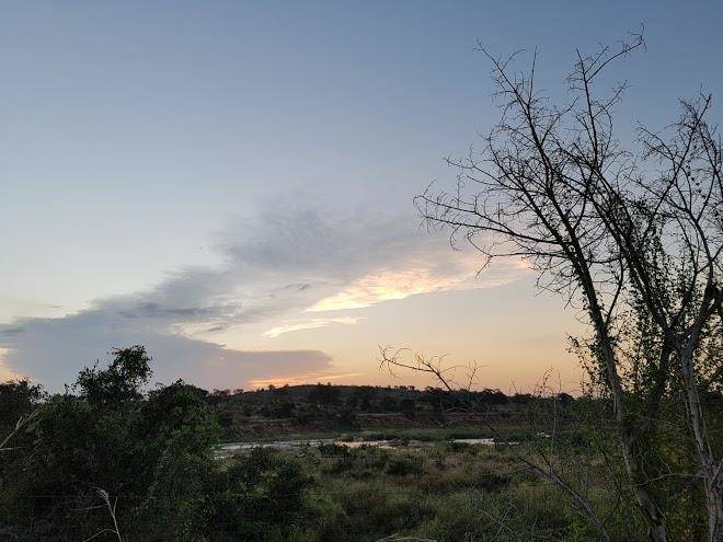Ingwenya view