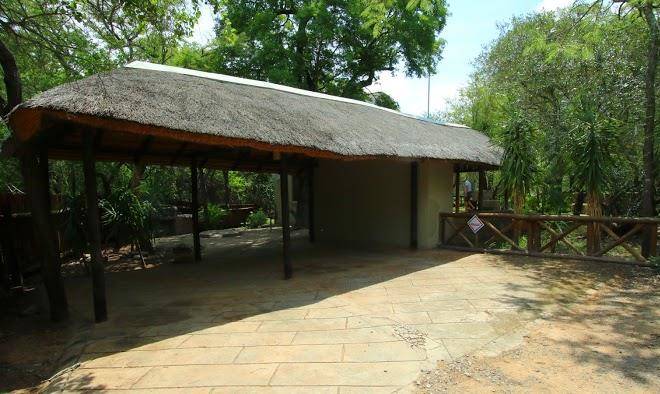 Little Bush Baby Manor Image