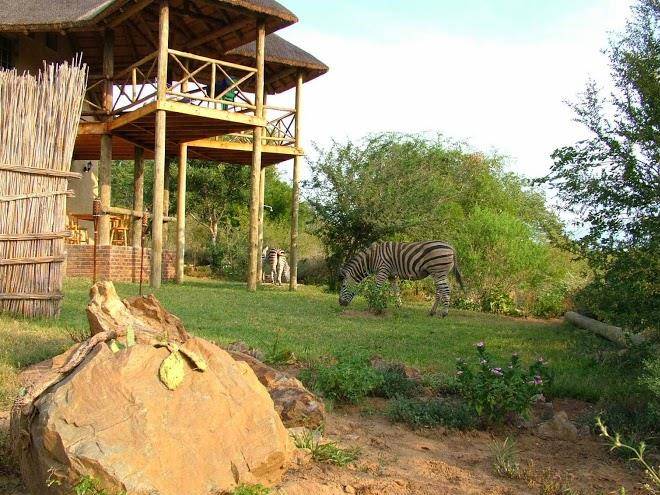 Majuli river lodge