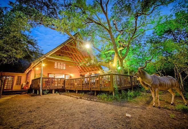 Needles lodge