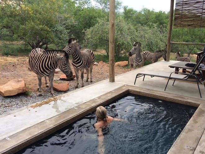 Nextdoor kruger