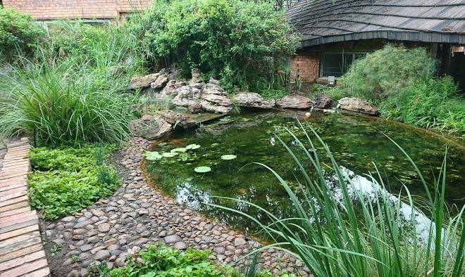 Ngwenya lodge