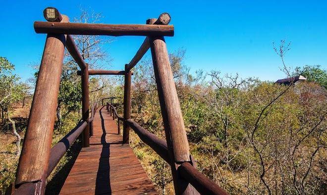 Shishangeni lodge