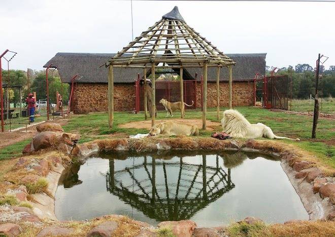 Pienaardam leisure resort