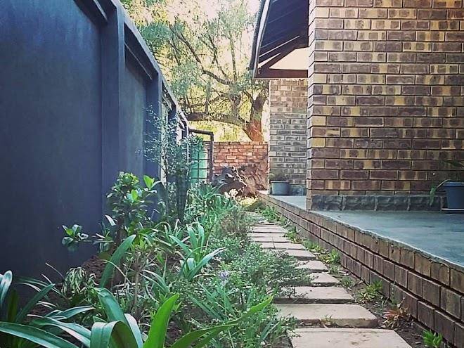 Wild olive b&b