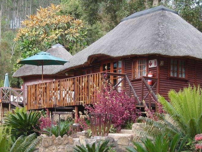 Bananien lodge