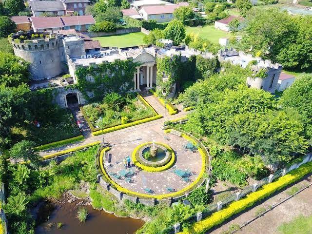 Flycatcher castle