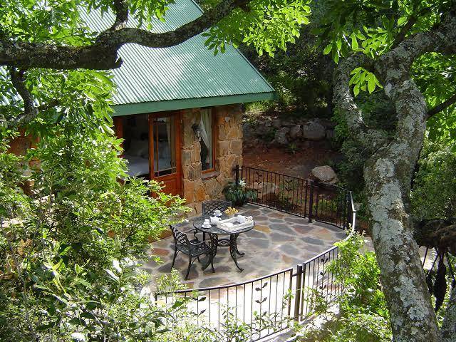 Forest creek lodge & spa