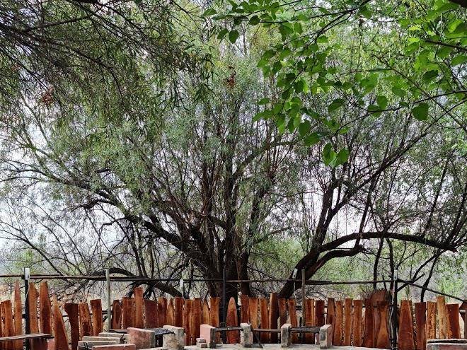Amritz private lodge