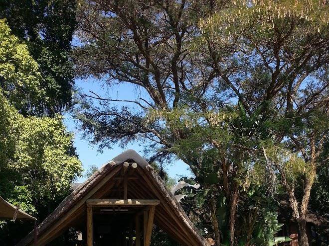 Thatch haven country lodge