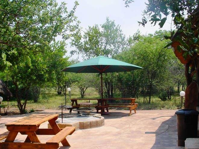 The royal gecko bush lodge