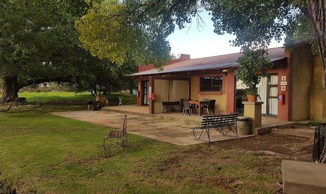 African olive country estate