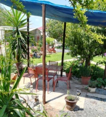 Gecko b&b