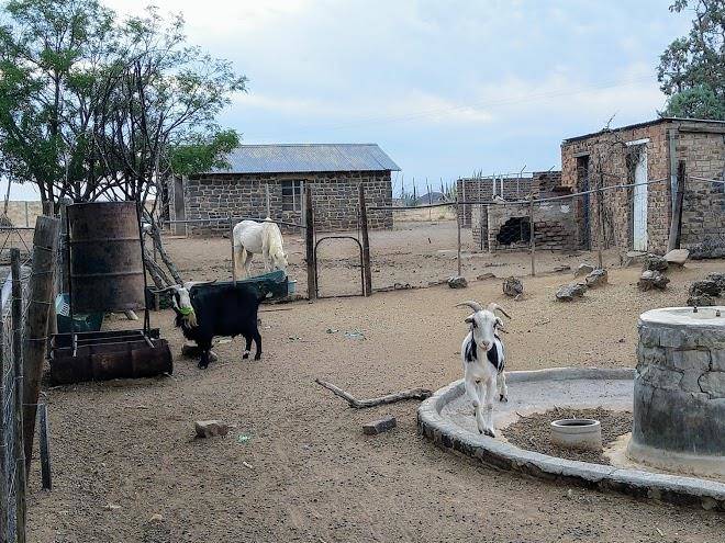 Safari park