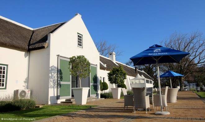 Allee bleue wine estate