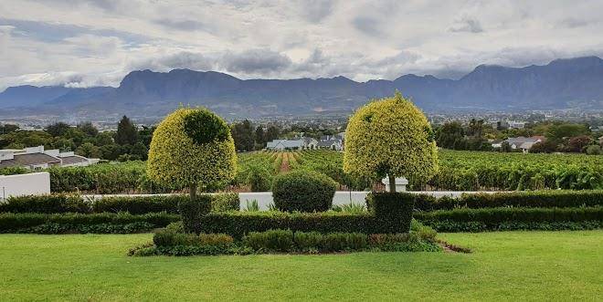 D'olyfboom conference & wedding venue