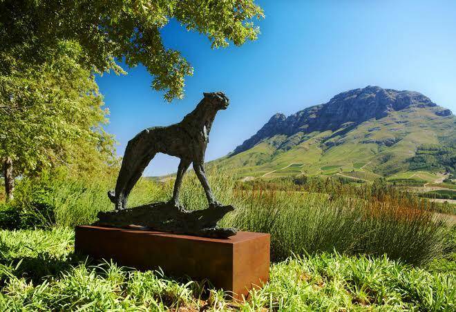 Delaire graff estate