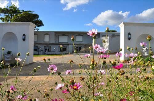 Dieu donne stellenbosch