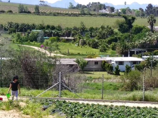 La Provence Stellenbosch Image