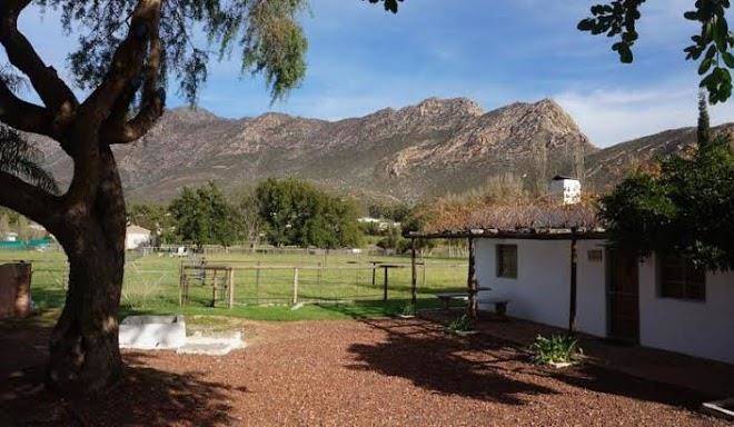 Long acres guest farm