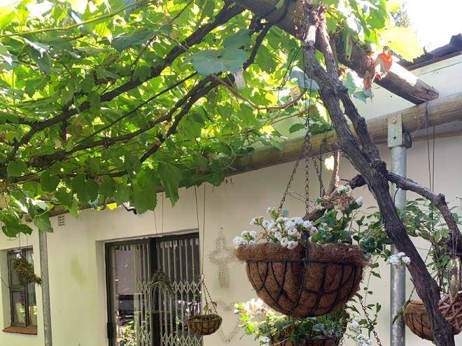 Rouana guest farm