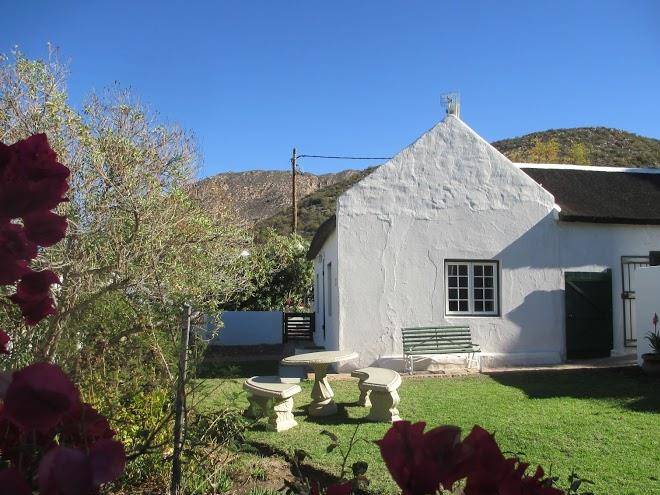 The Little Gem Image