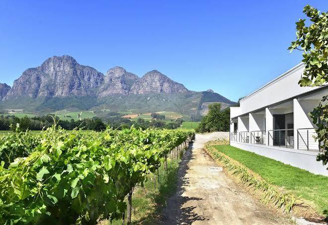 Vrede en lust wine estate