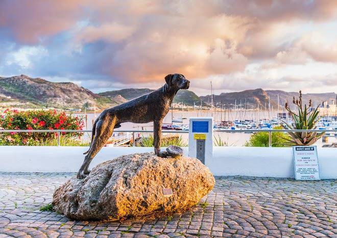 Aha simon's town quayside hotel