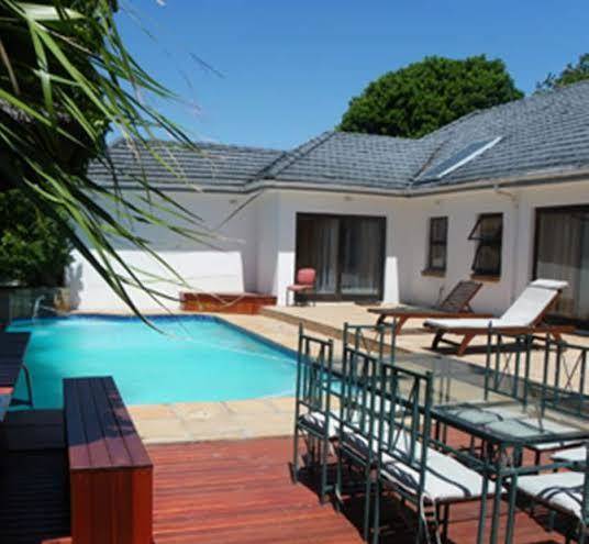 Cape town palms