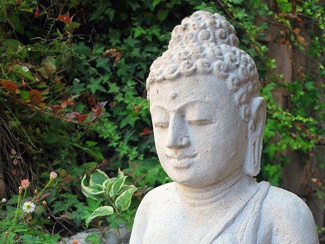 Sarvashakti ayurveda & yoga