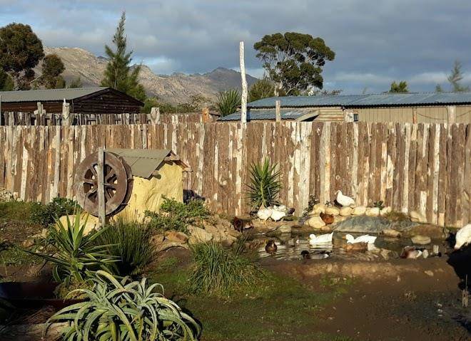 Tiripanu backpackers