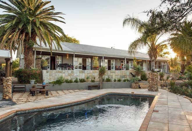 Aloe manor