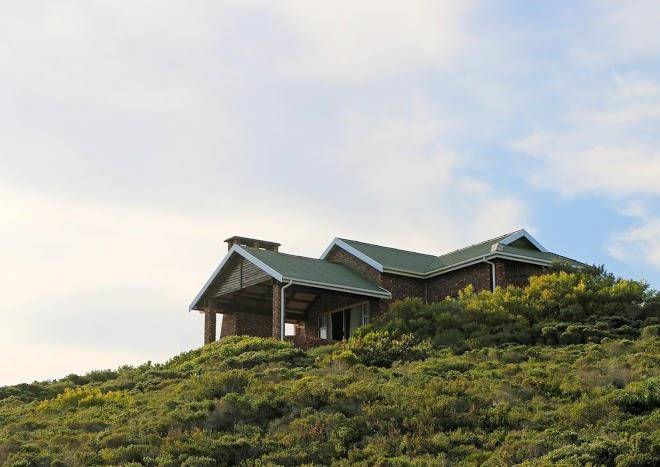 Blue whale resort