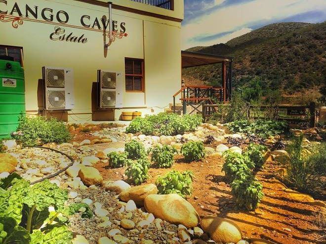 Cango caves zipline & estate