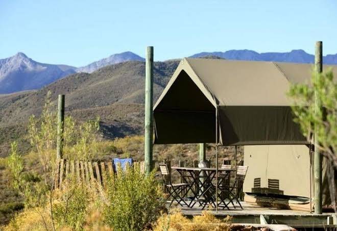 Le petit karoo ranch