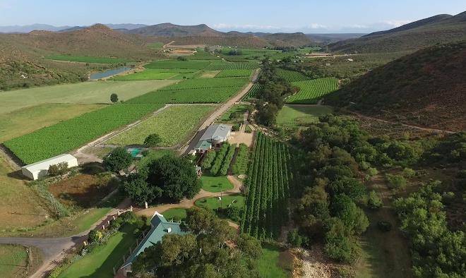 Oaksrest vineyards guest farm