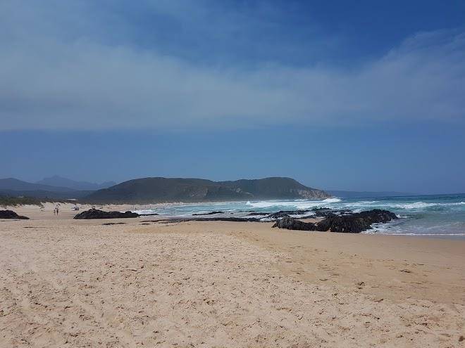 Punt In Die Wind Image