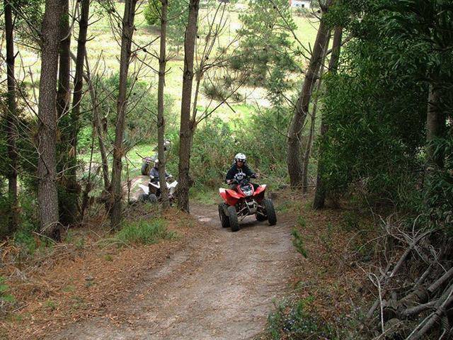 Southern comfort quad bikes