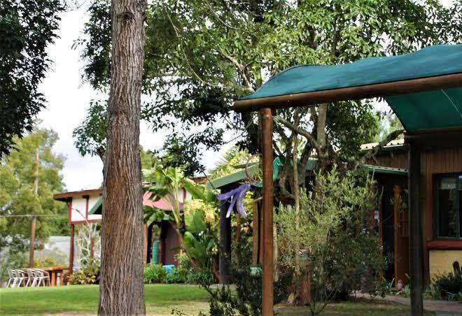 Teniqua Treetops Image