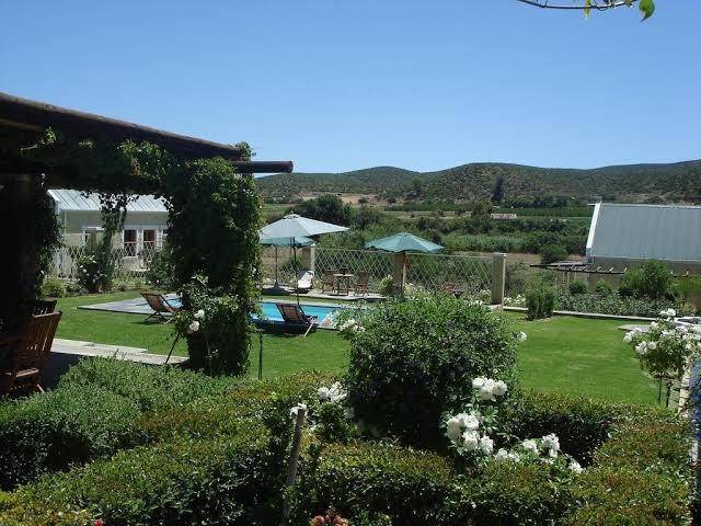 Thorntree country lodge