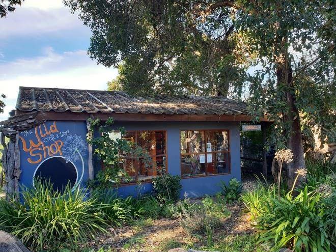 Wild spirit backpackers lodge